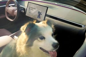 New MONA M03 XPeng dog 5