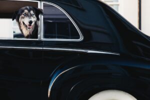 4U4A6973 scaled 1 18