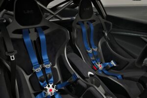 맥라렌, 르망 우승 30주년 기념 