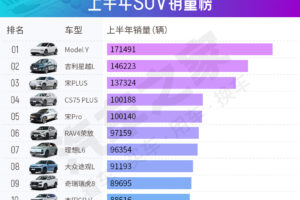 tesla model y suv premium china 4