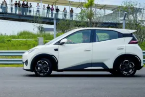 BYD price war not sustainable 3