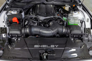 850마력 머슬카의 귀환… 셸비 ‘슈퍼 스네이크-R’ 첫 공개