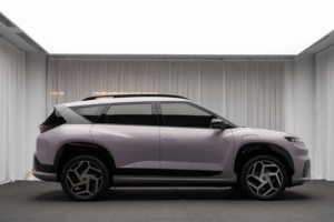 e59bbee78987 39 800x534 1 3