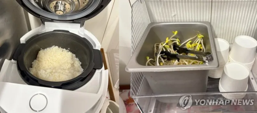 밥과 콩나물을 무료로 먹을 수 있는 신사동 