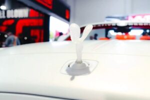 롤스로이스의 금기를 깼다, 두바이가 만든 ‘광기의 Dawn’