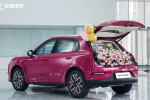 imgi 15 2025121613313569 6