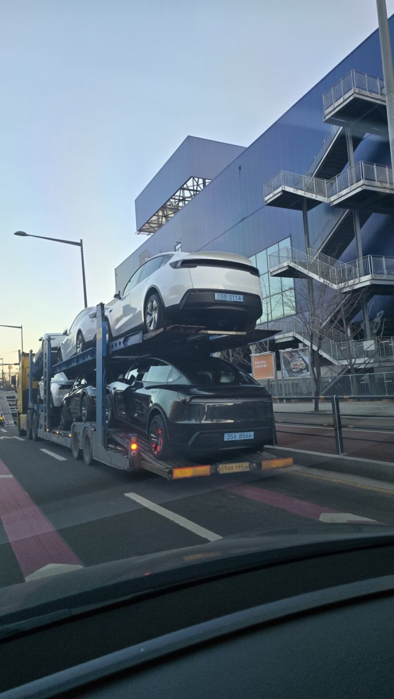 테슬라 인기 많네요