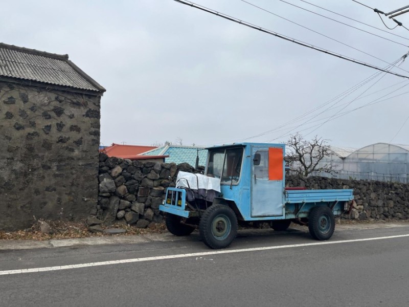 이것도 차인가요?