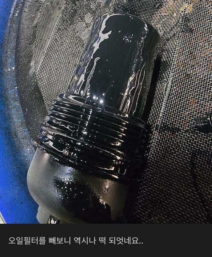 수리비 천만원 팰리세이드 상태