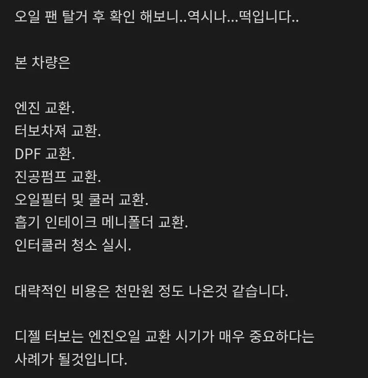 수리비 천만원 팰리세이드 상태