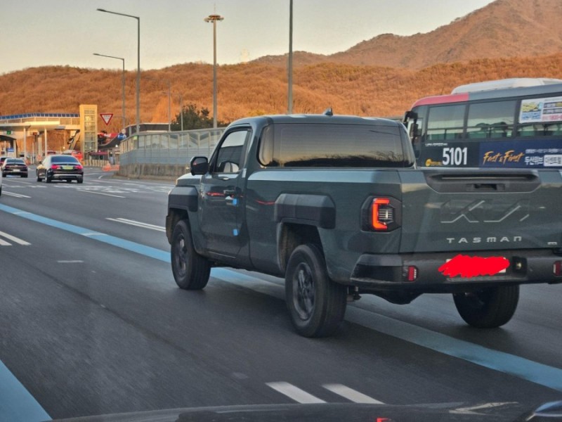 국내에서 포착된 타스만 싱글캡