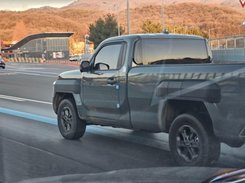 국내에서 포착된 타스만 싱글캡